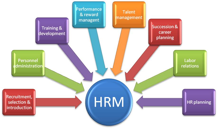 Human Resources Skills for Other Managers
