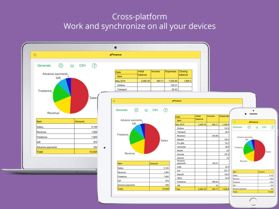 Analysis and Budget Managing