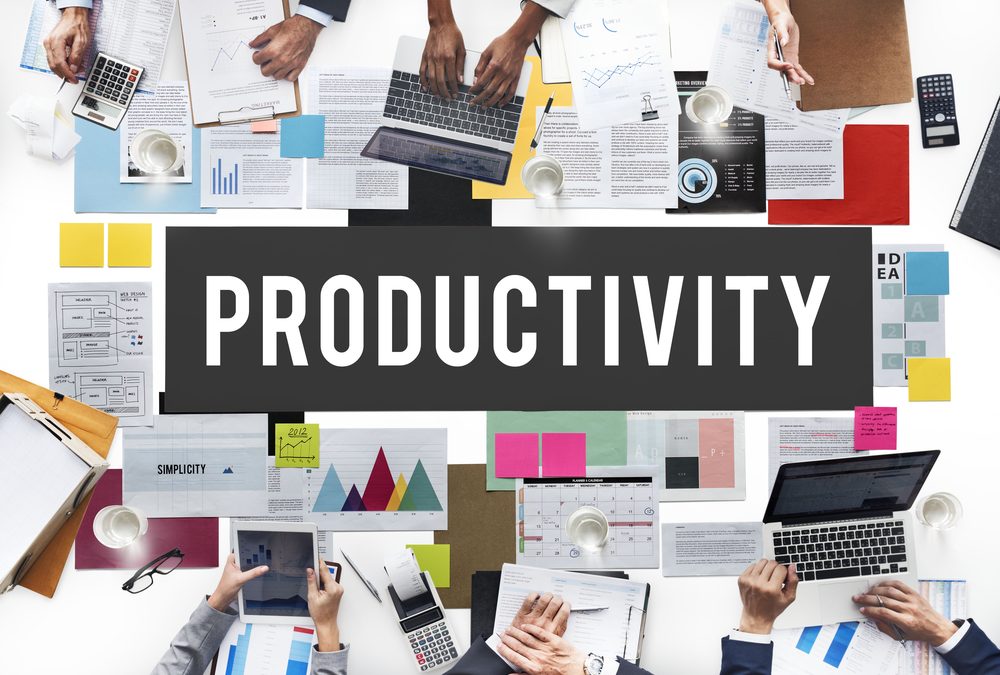  Performance and Productivity Management