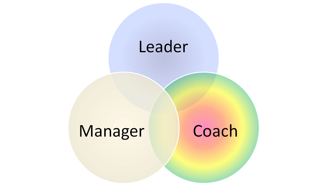 Leadership and Workable Management