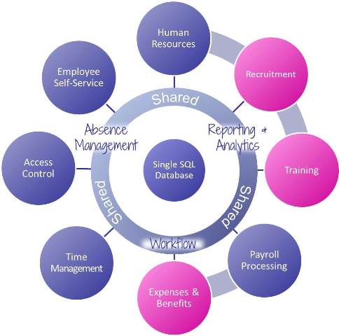 Human Resources & Payroll System